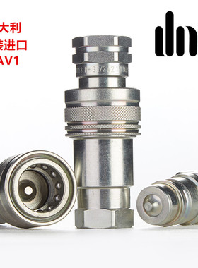 PAV1意大利dnp原装进口液压快速接头高液压油管双自封快插管接头