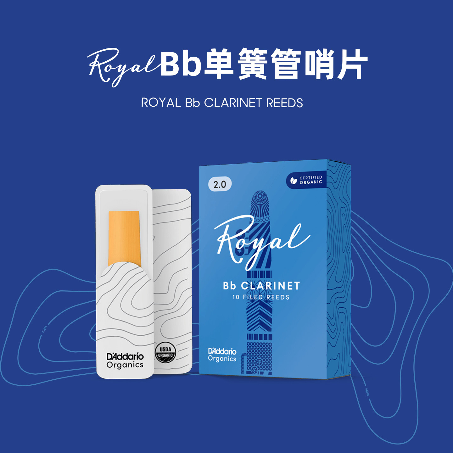 达达里奥 Rico Royal 2.5号Bb调单簧管黑管哨片10片装 RCB1025