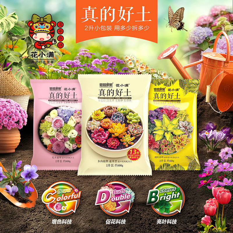 德国多肉植物素材模板 德国多肉植物图片下载 小麦优选