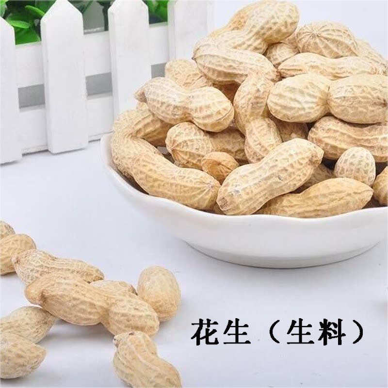 生花生松鼠仓鼠金丝熊大眼飞鼠吃的粮食用品零食物饲料生花生生料