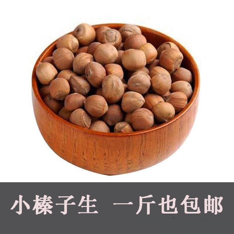 松鼠粮食主粮东北野生小榛子生榛子磨牙坚果零食松鼠吃的粮食用品