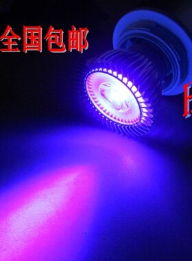 大功率紫光射灯 3WLED验钞灯 紫光UV固化灯  密室逃脱灯