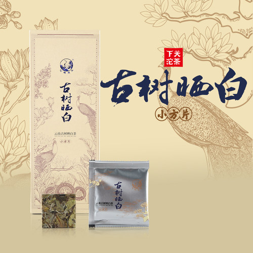 古树白茶，便携易冲泡