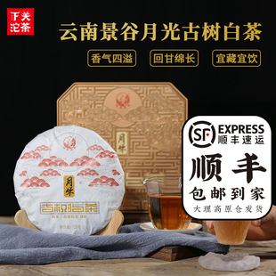 下关沱茶月华古树白茶饼茶2020年320g礼盒装 茶叶云南景谷月光白制