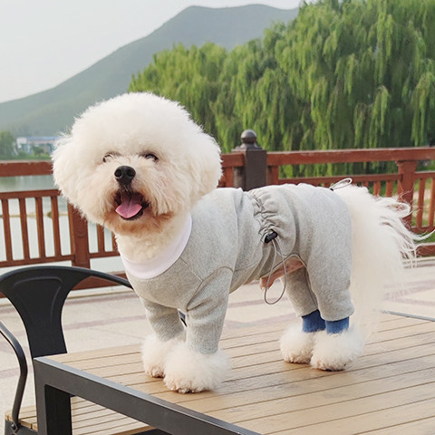 纯棉狗狗衣服四脚可调节超大弹力