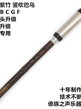 竖吹巴乌 天然紫竹 A 降B C G E F调 初学练习 专业制作 厂家直销