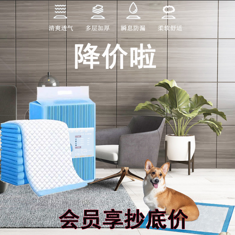 小狗一次性尿垫猫咪纸尿裤狗狗宠物隔尿垫宠物尿库狗垫加厚除臭