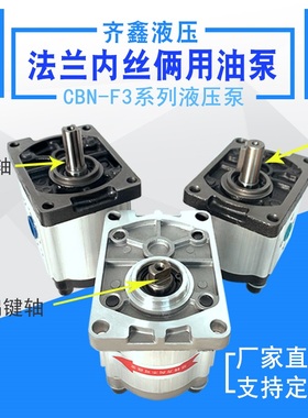 液压泵油泵CBN-F304/306/310/314/316/320/325液压泵站 高压泵头