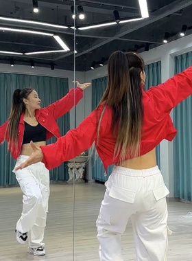 F-49-外套2025短款轻薄长袖立领韩版宽松简约上衣XL552