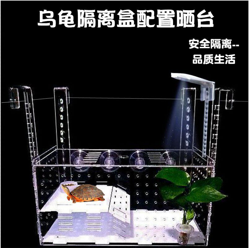 乌龟隔离盒带晒台深水躲避屋图片