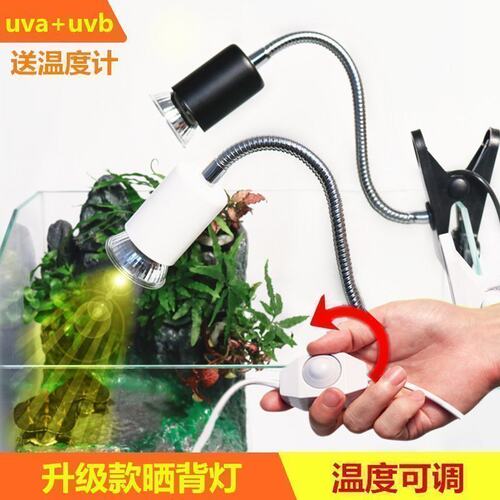 乌龟晒背灯太阳灯UVB光谱灯UVA灯爬宠陆龟加热灯蜥蜴保温灯