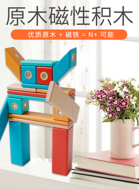 magplayer木制磁力积木宝宝早教启蒙益智拼装磁铁玩具同美国tegu