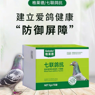 七联鸽抗格莱德鸽药鸽用信鸽单眼伤风育苗鸽子新城意灭活口服疫苗