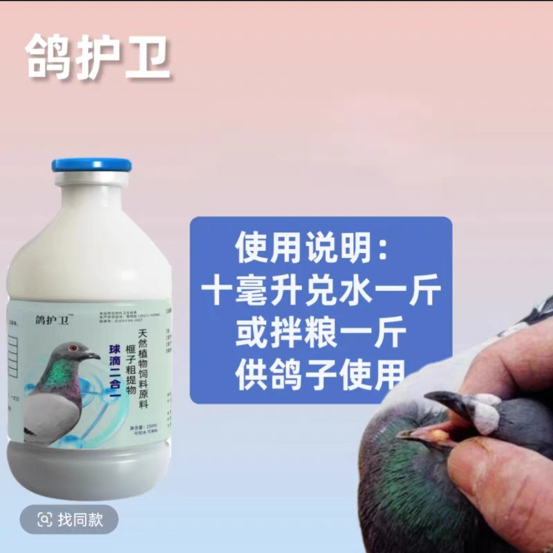 鸽护卫液体温独温度瘟毒一号呼吸道清理球滴二合一鱼肝油赛信鸽子