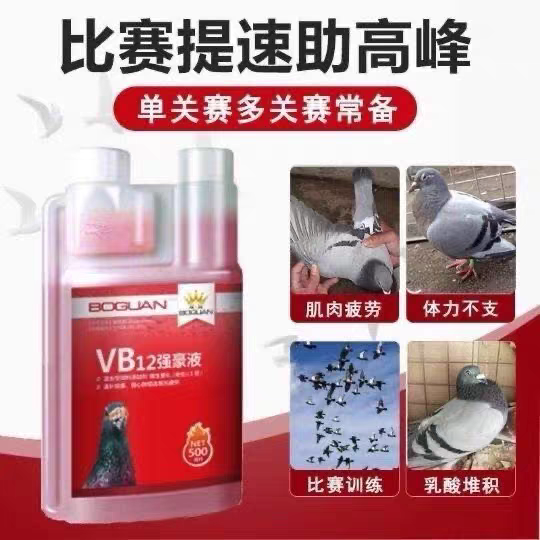 搏冠VB12强豪液500ml信赛鸽子搏维生素b12鸽用比赛能量补体抗疲劳