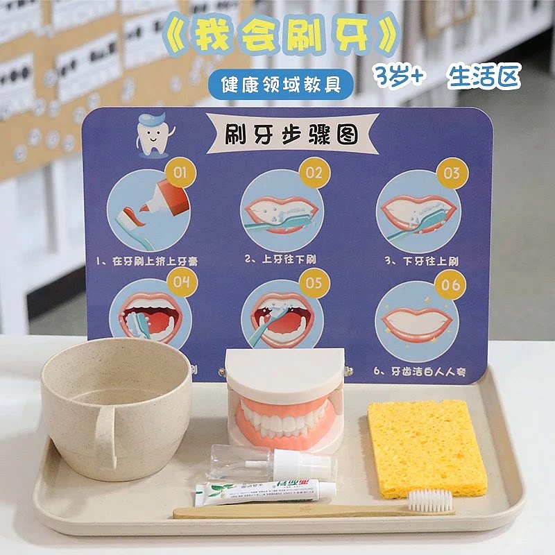 蒙氏教具刷牙示范精细动作训练
