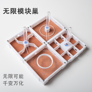 模块蚁巢平面巢干湿分离新后巢猛蚁弓背蚁收获蚁3D打印蚂蚁联盟