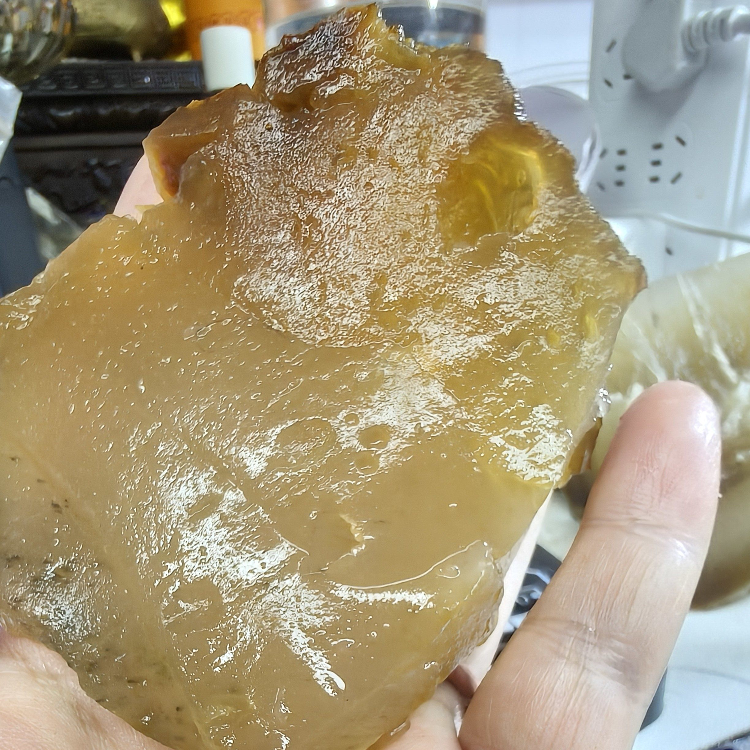 随机100粘液多泡沫多太,岁肉灵芝野外捡的软蹄筋