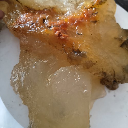 50野生太岁肉灵芝活体透明水太岁小块特价保真野外捡的