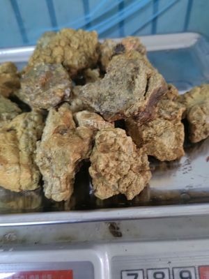 太岁水石太岁口服液太岁肉灵芝野外捡的可泡水