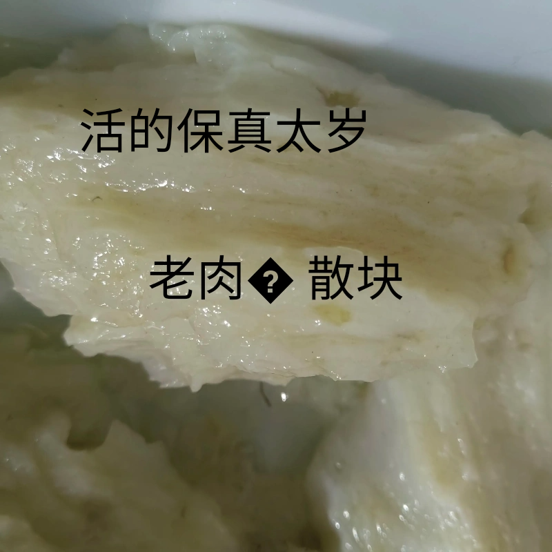 100克太岁肉灵芝，野生散肉碎肉小块特价保真