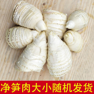 【现剥生笋肉】净笋子肉现剥现发竹笋肉江西黄泥冬笋去壳笋肉