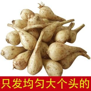 精选大个新鲜荞头无根农家自种现挖特大藠头茭头无叶生叫头教头乔