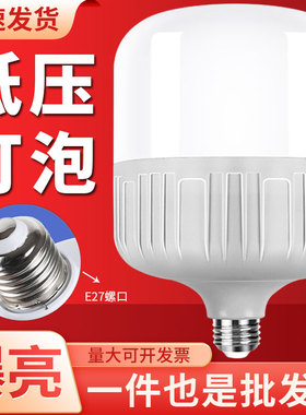 12V36V48V60伏低压灯泡电瓶灯摆地摊夜市灯电动车低压直流led灯泡