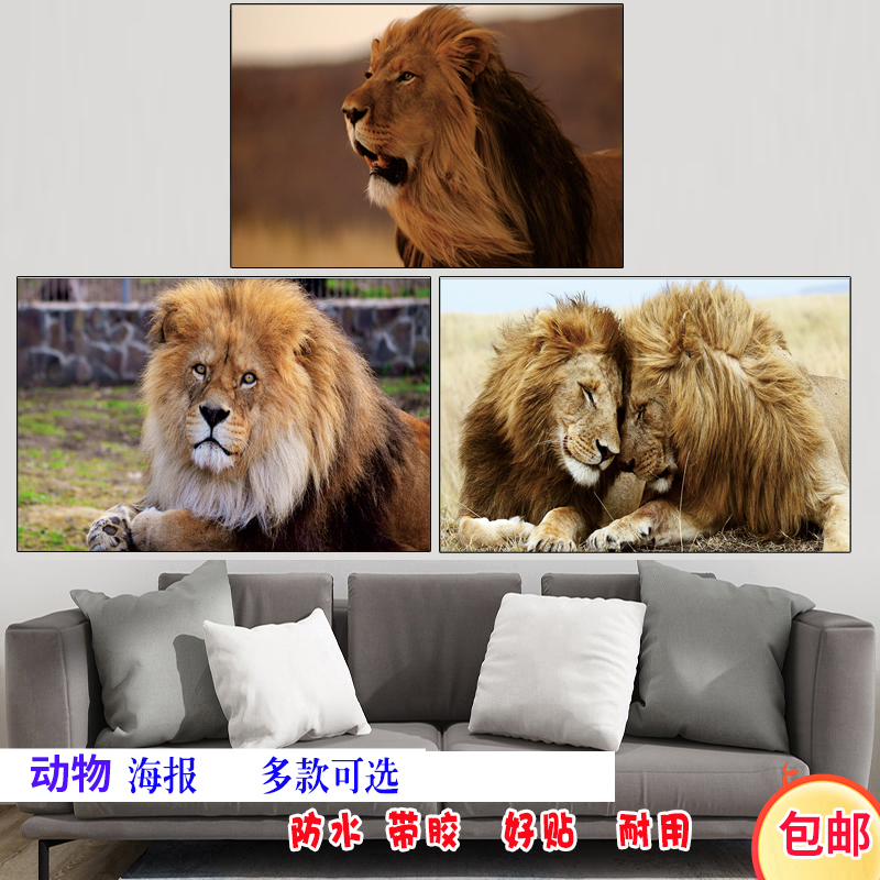 狮子海报草原之王雄狮美洲狮动物装饰画大号相框宿舍酒吧餐厅贴画图片