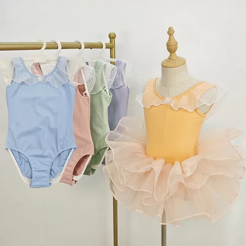 新儿童舞蹈服夏季短袖练功考级演出蓬蓬裙无袖公主女童芭蕾舞民族