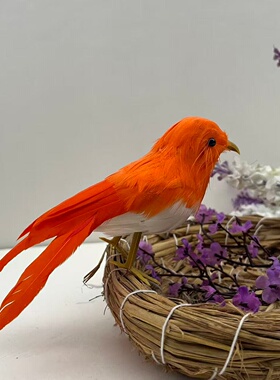 仿真羽毛鸟类桌面摆件橙色观赏装饰品手工制作工艺品仿真鸟