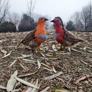 仿真竹鸡装饰摆件户外庭院观赏假鸡手工艺品道具