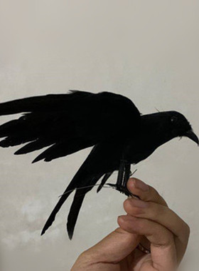 仿真园林影视拍摄鸟笼道具乌鸦