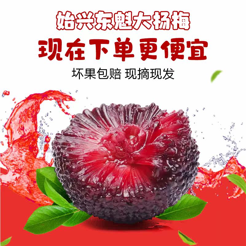 广东始兴杨梅新鲜时令水果特产东魁杨梅炭梅冷链现摘现发酸甜可口