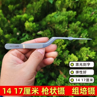 新华14 17加厚不锈钢镊子枪镊枪状镊组培镊采耳镊鼻用镊聂子捏子