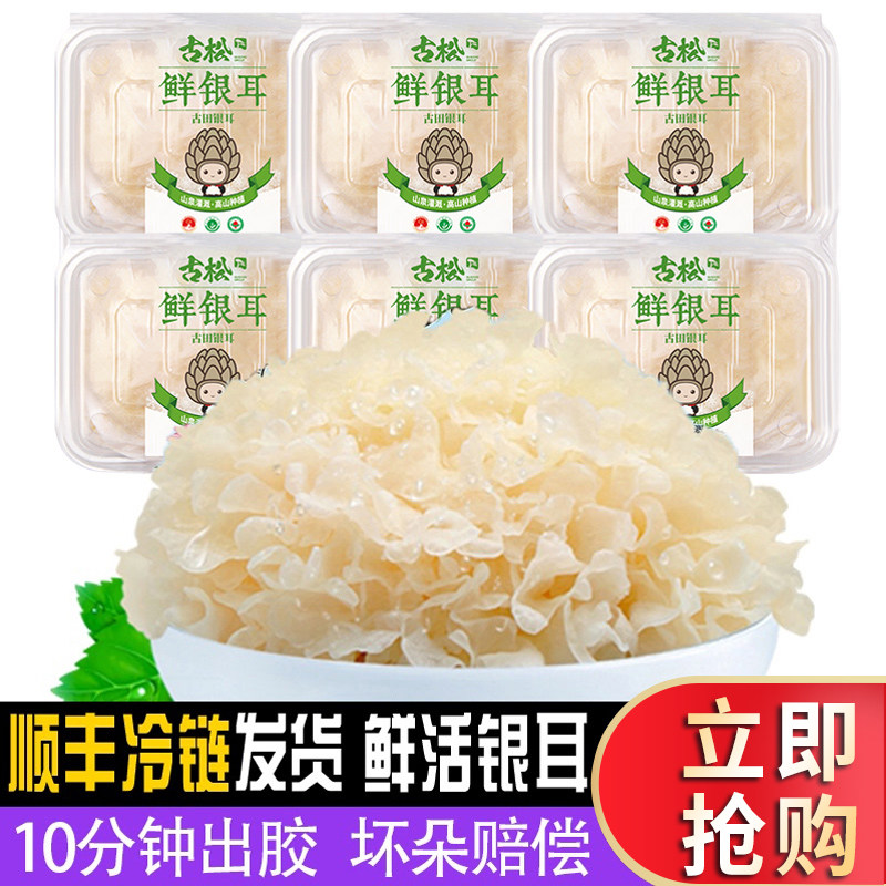 古松福建特产古田新鲜银耳非干货雪耳丑耳 白木银耳莲子羹6朵700g