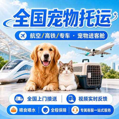 成都重庆宠物托运宠物随机手续宠物进客舱航空高铁托运宠物专车