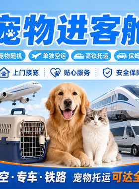 海口三亚宠物托运随机手续办理宠物进客舱宠飞机高铁专车托运宠物