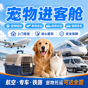 海口三亚宠物托运随机手续办理宠物进客舱宠飞机高铁专车托运宠物
