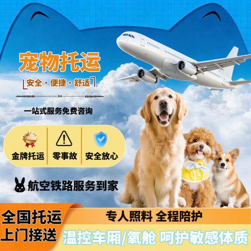 郑州宠物托运宠物随机托运手续宠物进客舱高铁飞机专车托运宠物