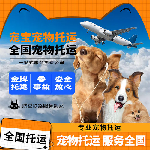郑州宠物托运狗狗猫咪随机代办宠物进客舱高铁托运宠物专车飞机