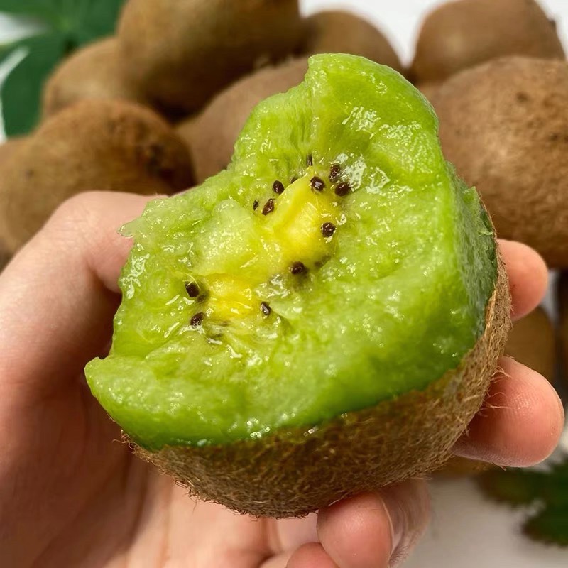 蜜蜂奇异果新鲜应季水果翠香礼盒绿心即食猕猴桃软心徐香同城包邮