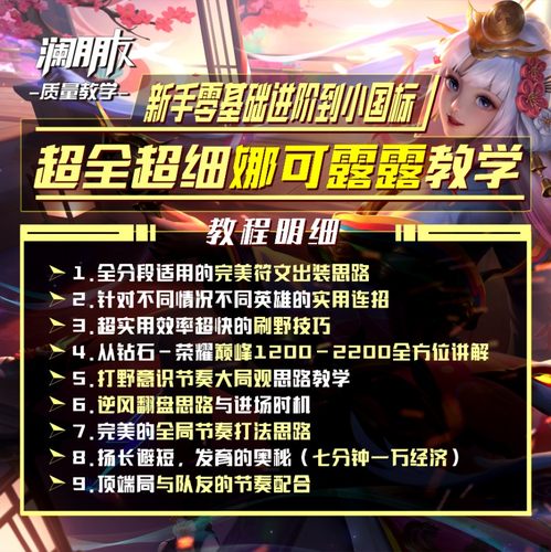 新手零基础到小国标【娜可露露】超全超细攻略