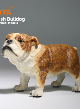 YFA模玩1/6英国斗牛犬仿真狗模型英斗车载摆件英牛手办兵人周边