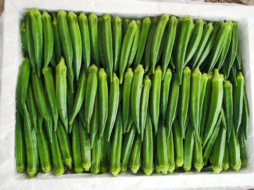 黄秋葵专用物理气调保鲜袋蔬菜袋果蔬塑料防雾袋30斤装，100个 - 封面