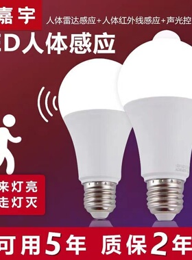 恒嘉宇led红外线人体雷达感应灯泡家用声光控智能楼道过道走廊楼