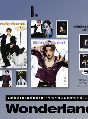 计入销量 新视线 十二月 侯明昊官方C版：A封面+B封面+小卡4张+亲笔涂鸦复刻拍立得3张《晨刊Wonderland.》杂志2025年12月 闭年刊