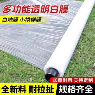 白色地膜种菜种植专用白地膜农用保温加厚小拱棚塑料薄膜养护膜