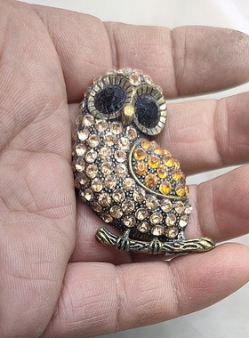 51满29元包邮  猫头鹰胸针 段尾了  唉！