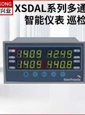 XSDAL系列多通道智能仪表  巡检仪